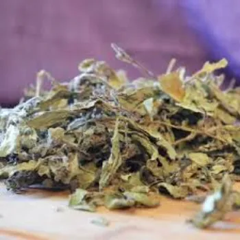 Popular Dried Tulsi Leaves